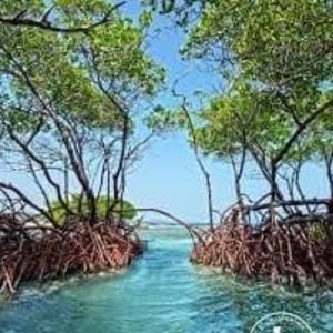 Meet your Posher, Laurie